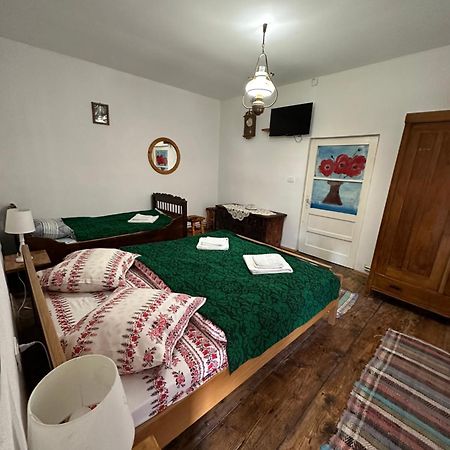 Barcut Casa Pe Valea Hartibaciuluiゲストハウス エクステリア 写真