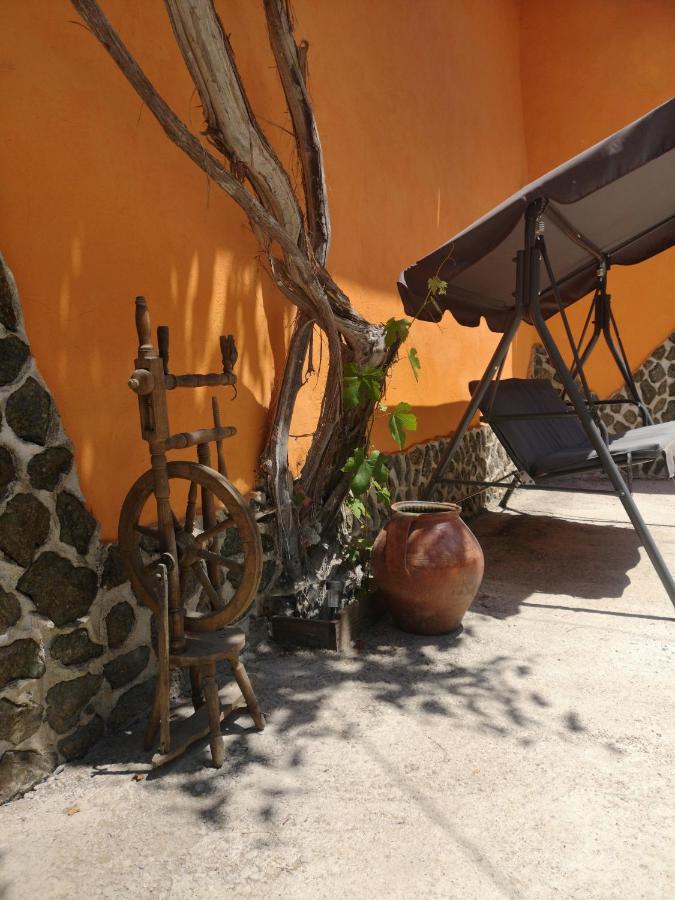 Barcut Casa Pe Valea Hartibaciuluiゲストハウス エクステリア 写真