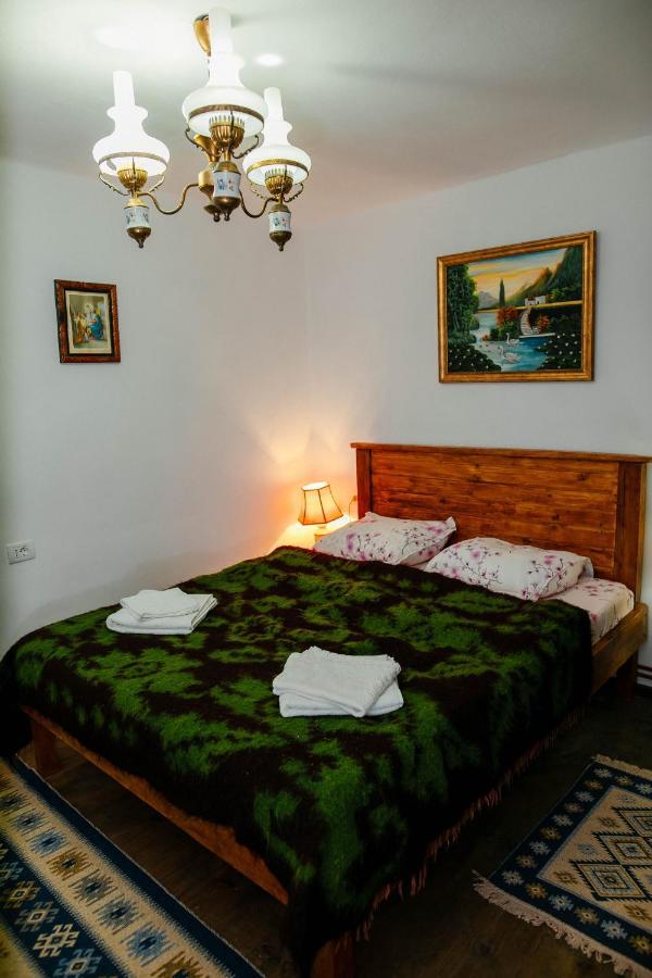 Barcut Casa Pe Valea Hartibaciuluiゲストハウス エクステリア 写真