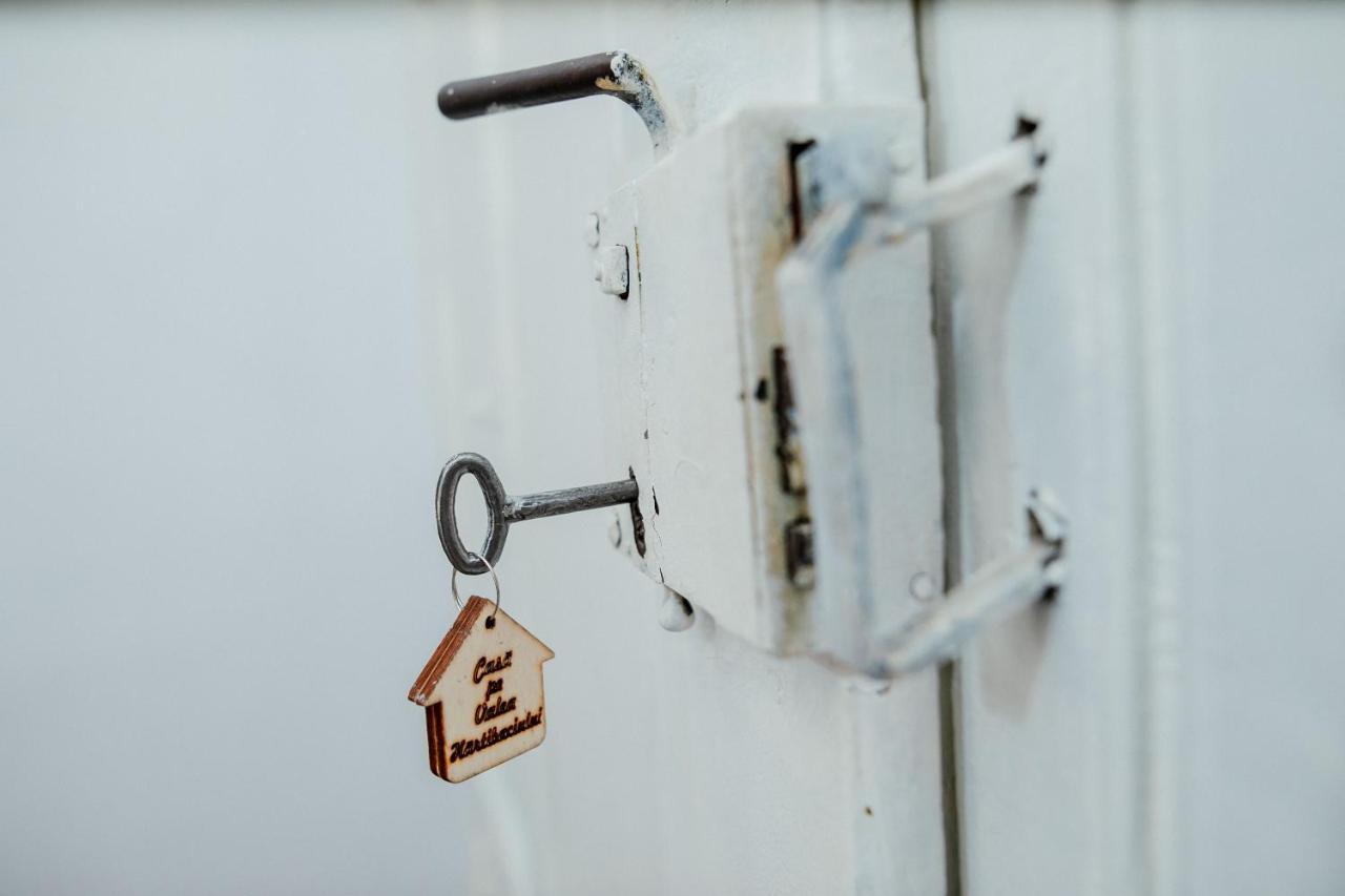 Barcut Casa Pe Valea Hartibaciuluiゲストハウス エクステリア 写真