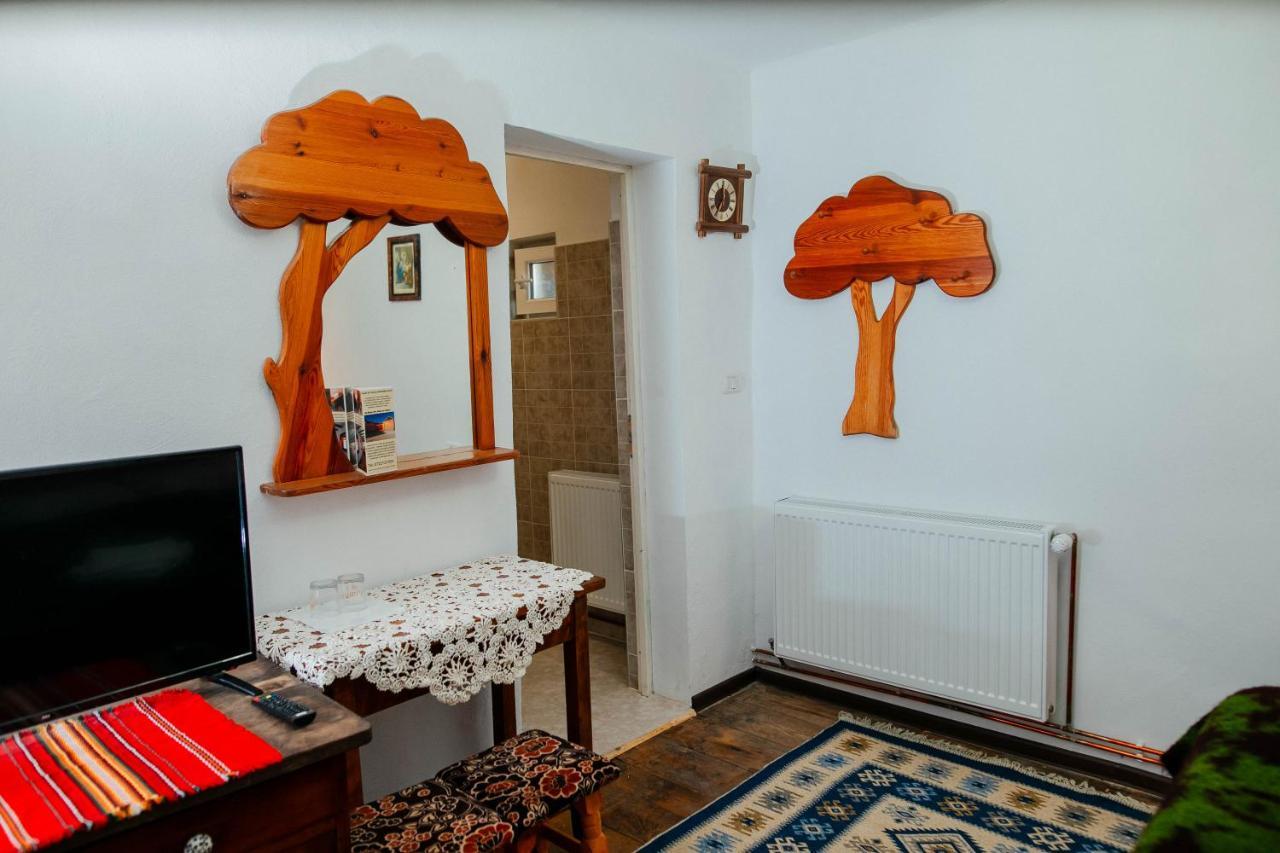 Barcut Casa Pe Valea Hartibaciuluiゲストハウス エクステリア 写真