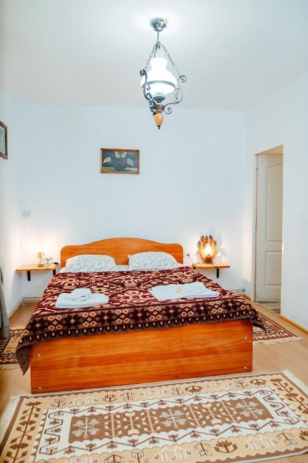 Barcut Casa Pe Valea Hartibaciuluiゲストハウス エクステリア 写真