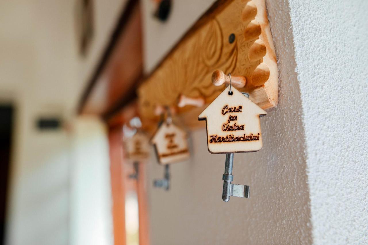 Barcut Casa Pe Valea Hartibaciuluiゲストハウス エクステリア 写真
