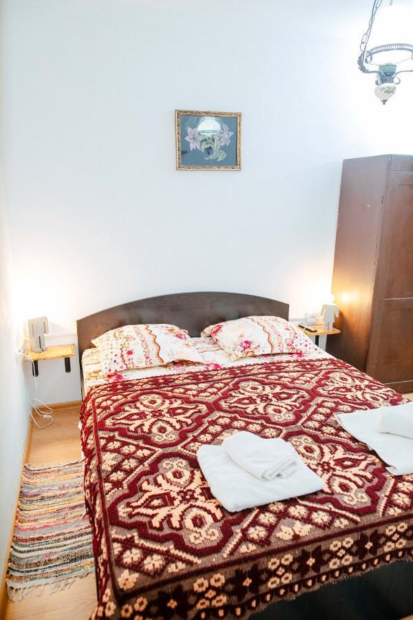 Barcut Casa Pe Valea Hartibaciuluiゲストハウス エクステリア 写真