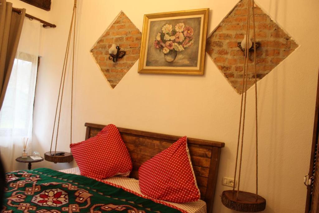 Barcut Casa Pe Valea Hartibaciuluiゲストハウス エクステリア 写真