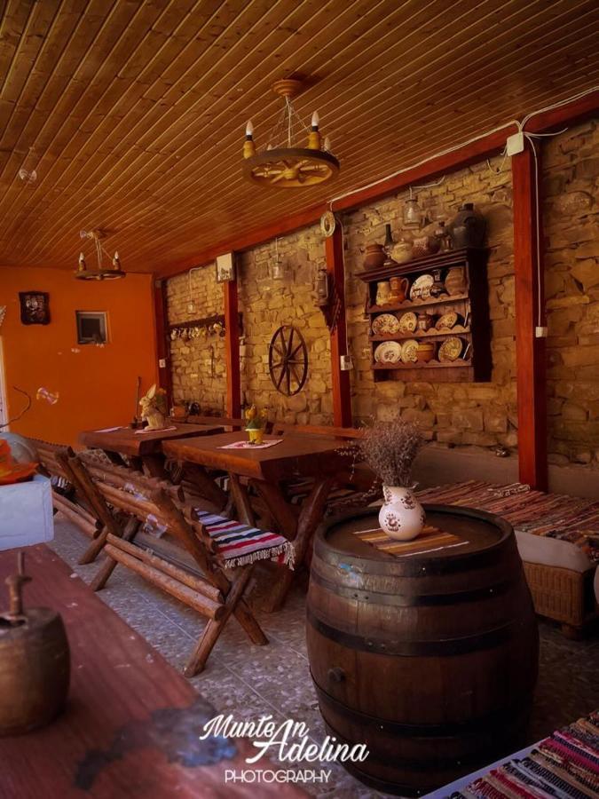 Barcut Casa Pe Valea Hartibaciuluiゲストハウス エクステリア 写真