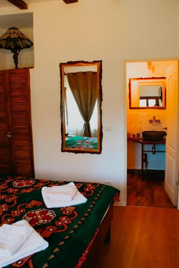 Barcut Casa Pe Valea Hartibaciuluiゲストハウス エクステリア 写真