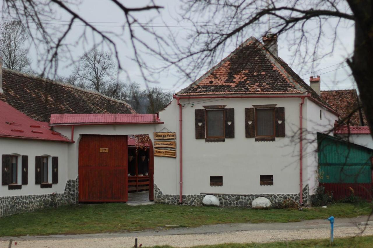 Barcut Casa Pe Valea Hartibaciuluiゲストハウス エクステリア 写真