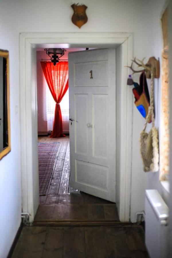Barcut Casa Pe Valea Hartibaciuluiゲストハウス エクステリア 写真