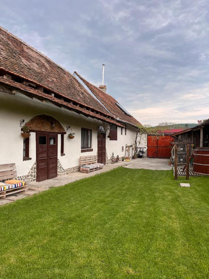 Barcut Casa Pe Valea Hartibaciuluiゲストハウス エクステリア 写真
