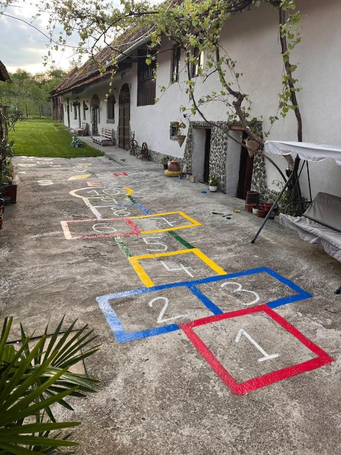 Barcut Casa Pe Valea Hartibaciuluiゲストハウス エクステリア 写真