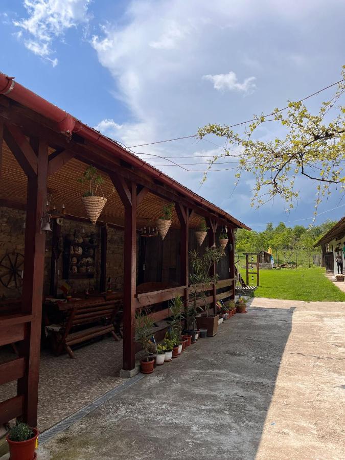 Barcut Casa Pe Valea Hartibaciuluiゲストハウス エクステリア 写真