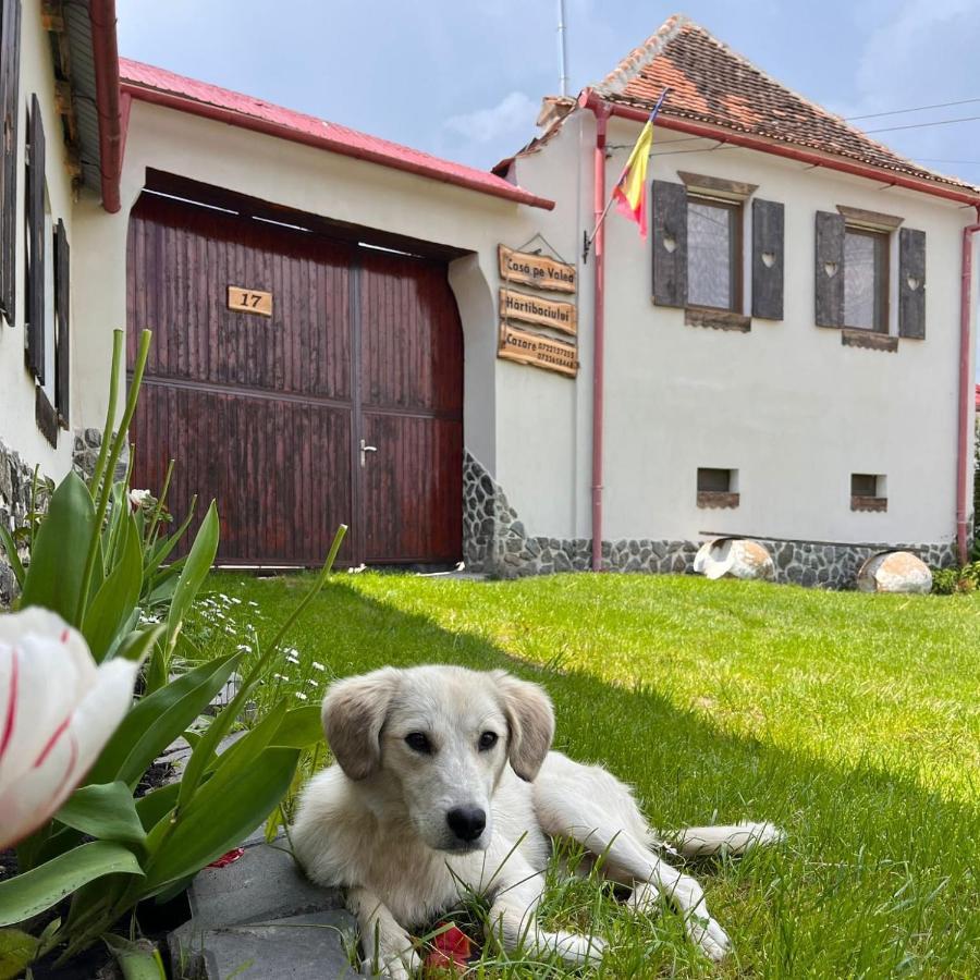 Barcut Casa Pe Valea Hartibaciuluiゲストハウス エクステリア 写真