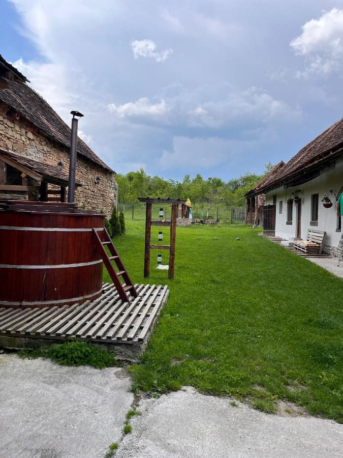 Barcut Casa Pe Valea Hartibaciuluiゲストハウス エクステリア 写真