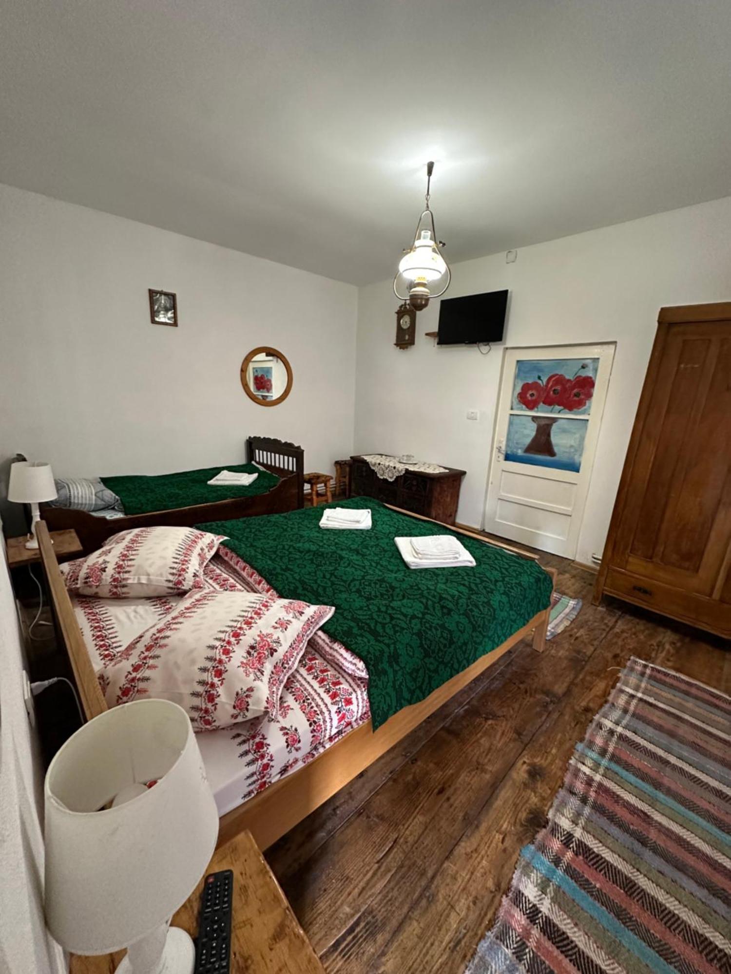 Barcut Casa Pe Valea Hartibaciuluiゲストハウス エクステリア 写真