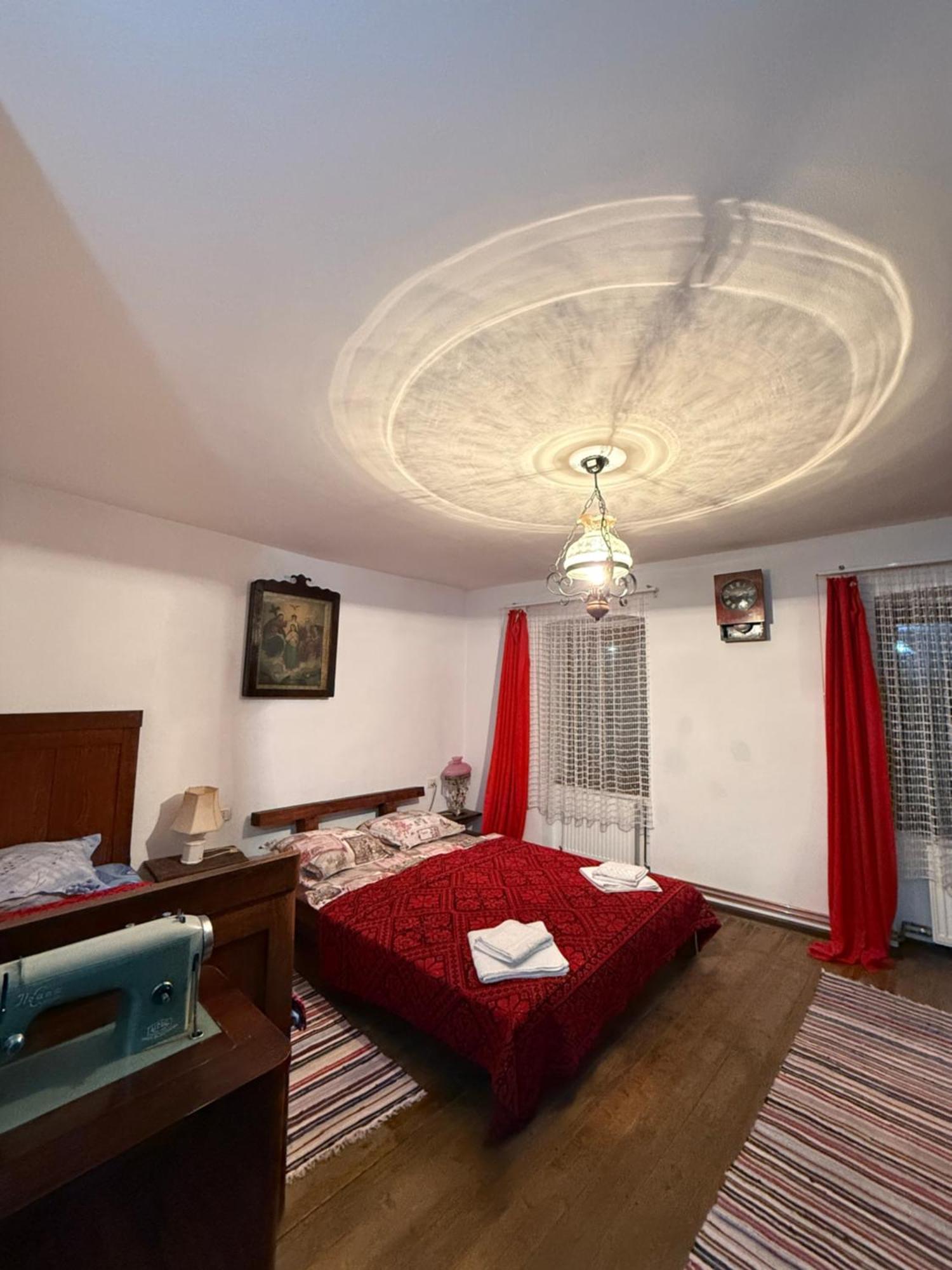 Barcut Casa Pe Valea Hartibaciuluiゲストハウス エクステリア 写真